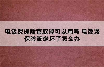 电饭煲保险管取掉可以用吗 电饭煲保险管烧坏了怎么办